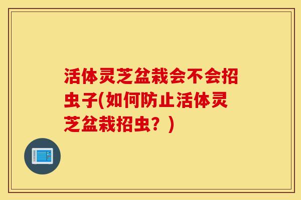 活体灵芝盆栽会不会招虫子(如何防止活体灵芝盆栽招虫?) 活体灵芝盆栽会不会招虫子(如何防止活体灵芝盆栽招虫?)