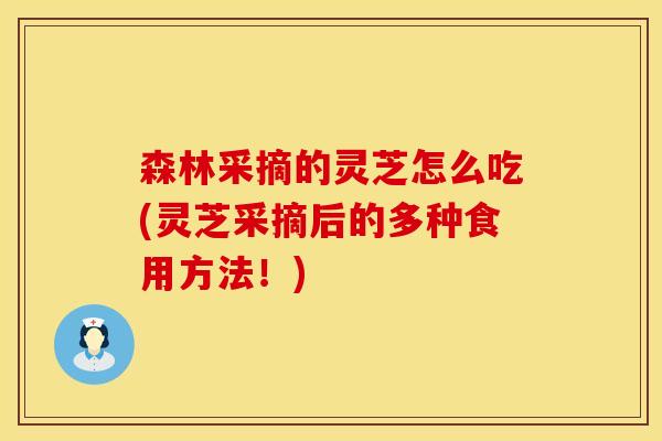 森林采摘的灵芝怎么吃(灵芝采摘后的多种食用方法！)