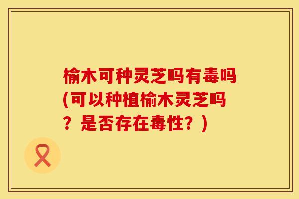 榆木可种灵芝吗有毒吗(可以种植榆木灵芝吗?是否存在毒性?) 榆木可种灵芝吗有毒吗(可以种植榆木灵芝吗?是否存在毒性?)