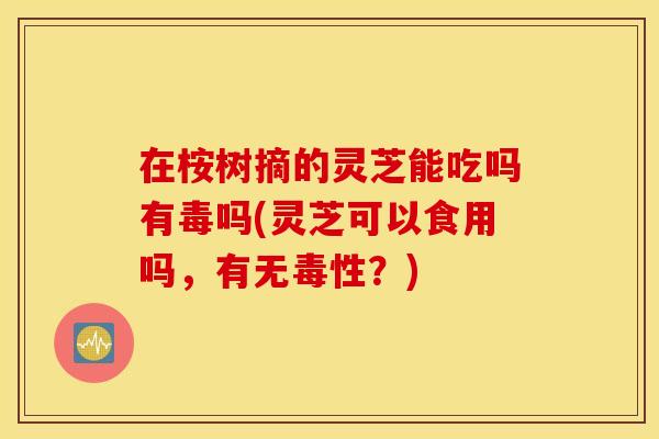在桉树摘的灵芝能吃吗有毒吗(灵芝可以食用吗，有无毒性？)