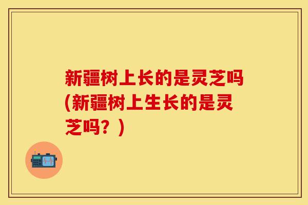 新疆树上长的是灵芝吗(新疆树上生长的是灵芝吗？)