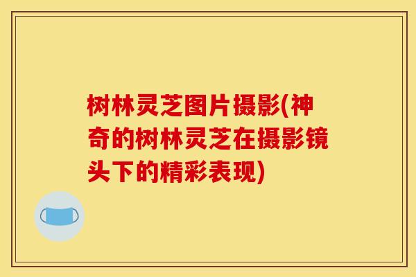 树林灵芝图片摄影(神奇的树林灵芝在摄影镜头下的精彩表现)