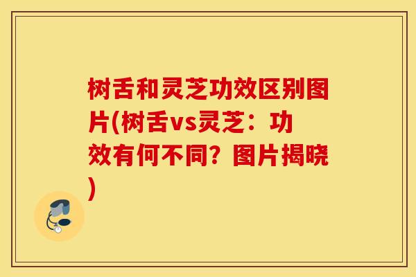 树舌和灵芝功效区别图片(树舌vs灵芝：功效有何不同？图片揭晓)