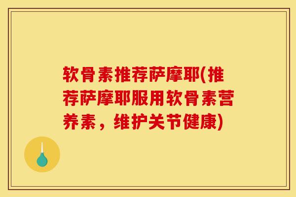 软骨素推荐萨摩耶(推荐萨摩耶服用软骨素营养素，维护关节健康)