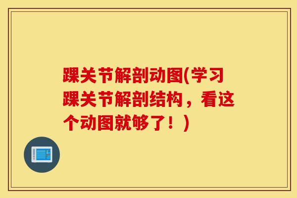 踝关节解剖动图(学习踝关节解剖结构，看这个动图就够了！)