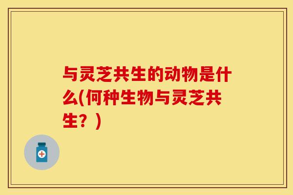 与灵芝共生的动物是什么(何种生物与灵芝共生？)