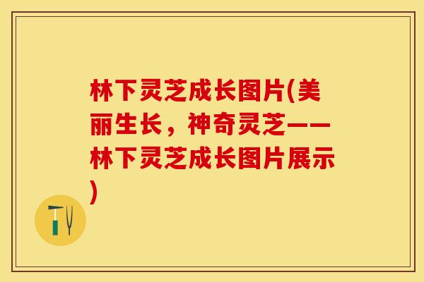 林下灵芝成长图片(美丽生长，神奇灵芝——林下灵芝成长图片展示)