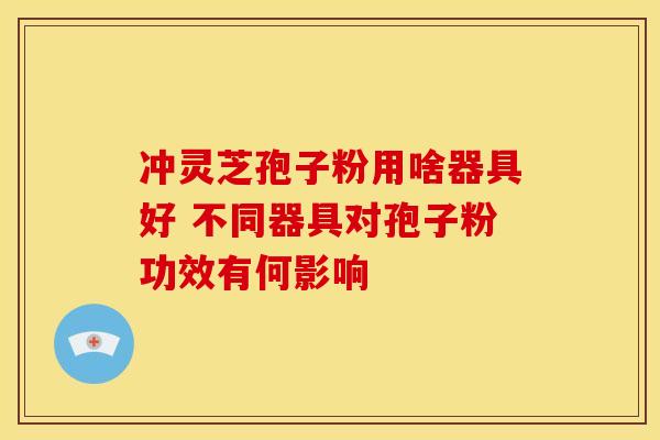 冲灵芝孢子粉用啥器具好 不同器具对孢子粉功效有何影响