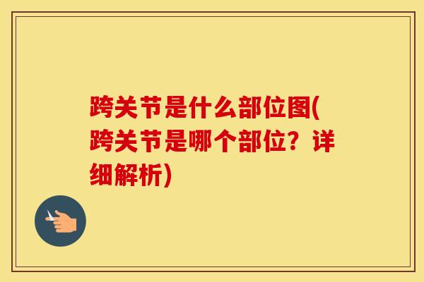 跨关节是什么部位图(跨关节是哪个部位?详细解析) 跨关节是什么部位图(跨关节是哪个部位?详细解析)