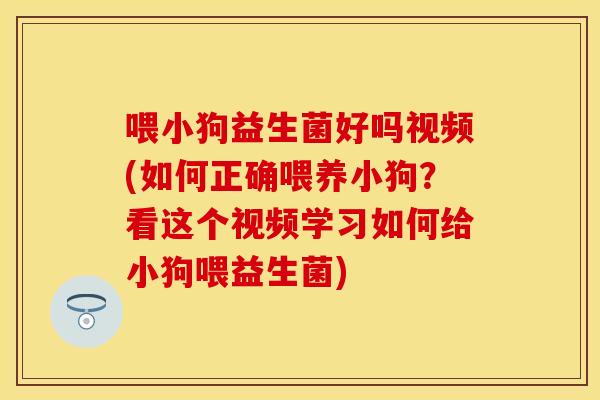 喂小狗益生菌好吗视频(如何正确喂养小狗？看这个视频学习如何给小狗喂益生菌)