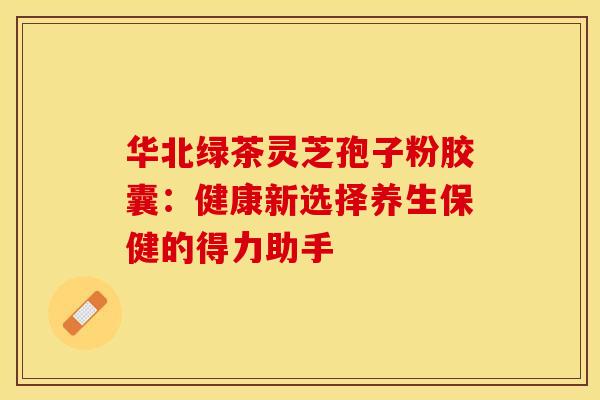 华北绿茶灵芝孢子粉胶囊：健康新选择养生保健的得力助手