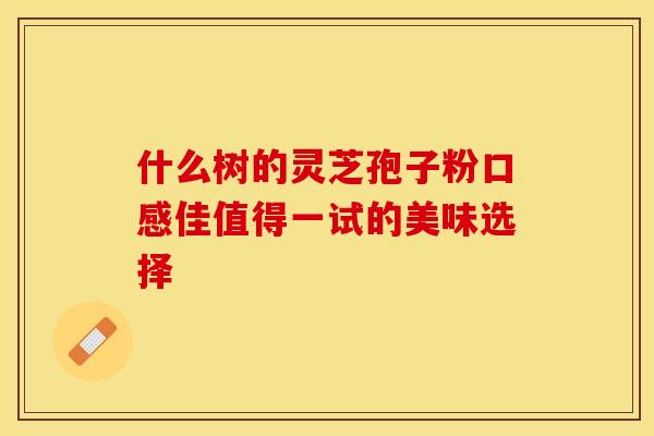 什么树的灵芝孢子粉口感佳值得一试的美味选择