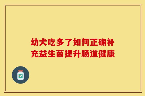 幼犬吃多了如何正确补充益生菌提升肠道健康