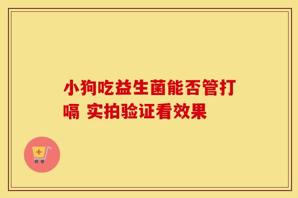 小狗吃益生菌能否管打嗝 实拍验证看效果 小狗吃益生菌能否管打嗝 实拍验证看效果
