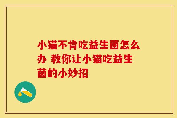小猫不肯吃益生菌怎么办 教你让小猫吃益生菌的小妙招 小猫不肯吃益生菌怎么办 教你让小猫吃益生菌的小妙招