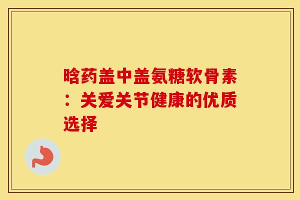 晗药盖中盖氨糖软骨素：关爱关节健康的优质选择