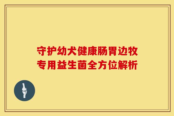 守护幼犬健康肠胃边牧专用益生菌全方位解析