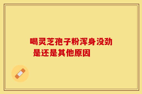喝灵芝孢子粉浑身没劲 是还是其他原因 喝灵芝孢子粉浑身没劲 是还是其他原因