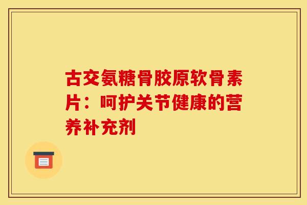 古交氨糖骨胶原软骨素片：呵护关节健康的营养补充剂