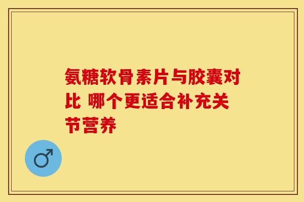 氨糖软骨素片与胶囊对比 哪个更适合补充关节营养