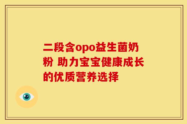 二段含opo益生菌奶粉 助力宝宝健康成长的优质营养选择
