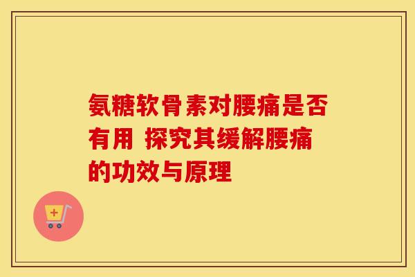 氨糖软骨素对腰痛是否有用 探究其缓解腰痛的功效与原理