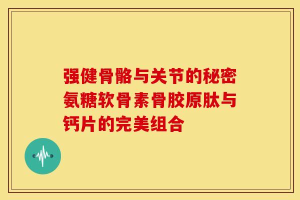 强健骨骼与关节的秘密氨糖软骨素骨胶原肽与钙片的完美组合 强健骨骼与关节的秘密氨糖软骨素骨胶原肽与钙片的完美组合