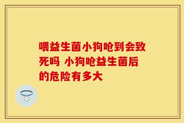 喂益生菌小狗呛到会致死吗 小狗呛益生菌后的危险有多大 喂益生菌小狗呛到会致死吗 小狗呛益生菌后的危险有多大
