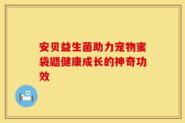 安贝益生菌助力宠物蜜袋鼯健康成长的神奇功效