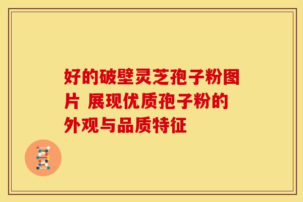 好的破壁灵芝孢子粉图片 展现优质孢子粉的外观与品质特征
