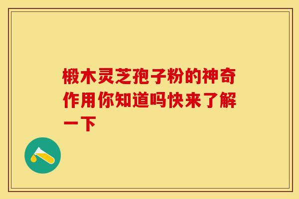 椴木灵芝孢子粉的神奇作用你知道吗快来了解一下