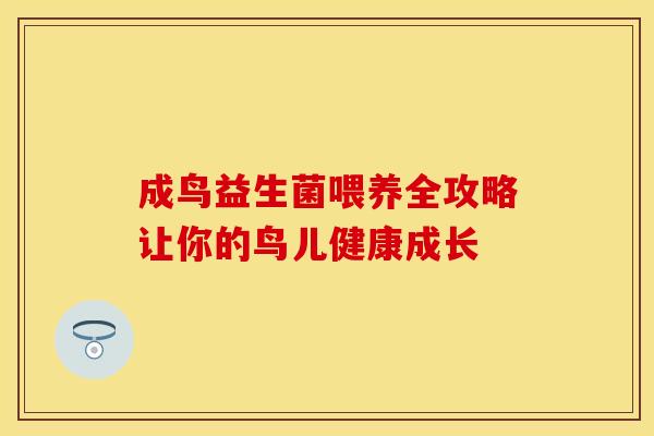 成鸟益生菌喂养全攻略让你的鸟儿健康成长