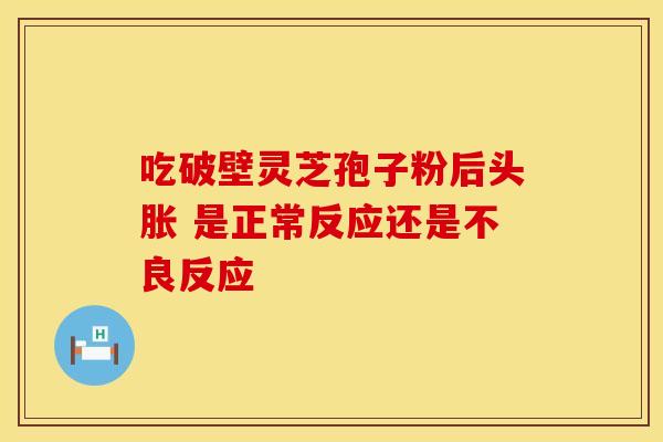 吃破壁灵芝孢子粉后头胀 是正常反应还是不良反应
