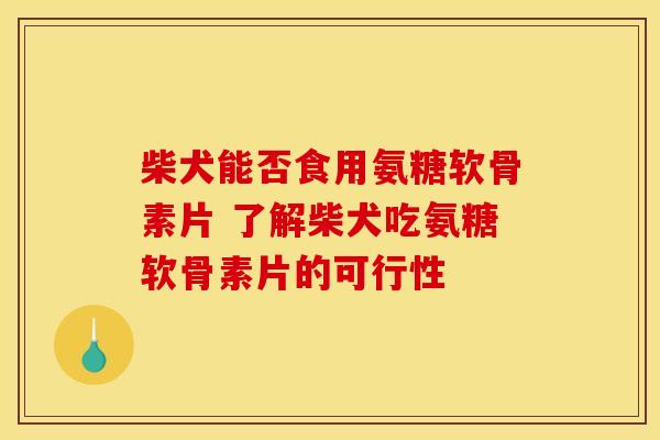 柴犬能否食用氨糖软骨素片 了解柴犬吃氨糖软骨素片的可行性