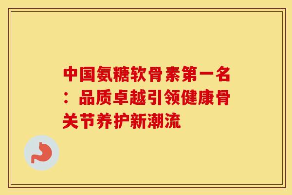 中国氨糖软骨素第一名：品质卓越引领健康骨关节养护新潮流