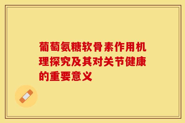 葡萄氨糖软骨素作用机理探究及其对关节健康的重要意义