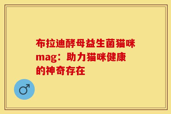 布拉迪酵母益生菌猫咪mag：助力猫咪健康的神奇存在
