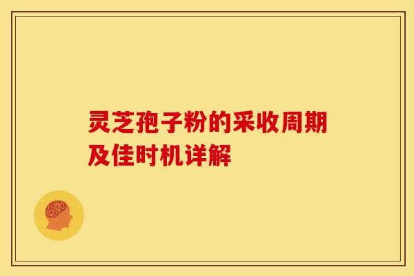 灵芝孢子粉的采收周期及佳时机详解