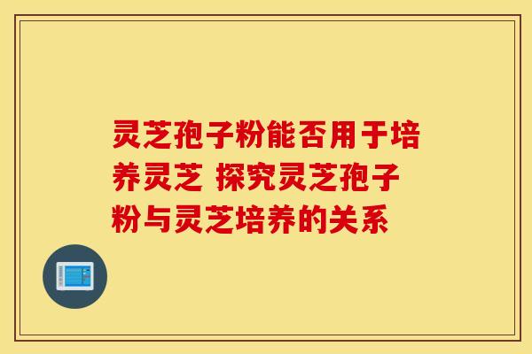 灵芝孢子粉能否用于培养灵芝 探究灵芝孢子粉与灵芝培养的关系