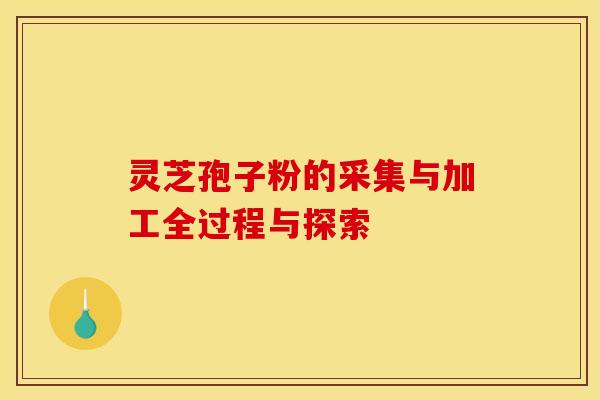 灵芝孢子粉的采集与加工全过程与探索