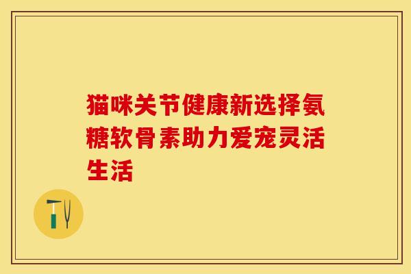 猫咪关节健康新选择氨糖软骨素助力爱宠灵活生活