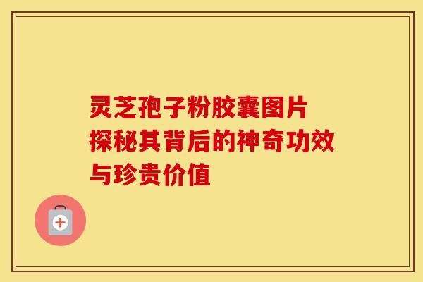 灵芝孢子粉胶囊图片 探秘其背后的神奇功效与珍贵价值