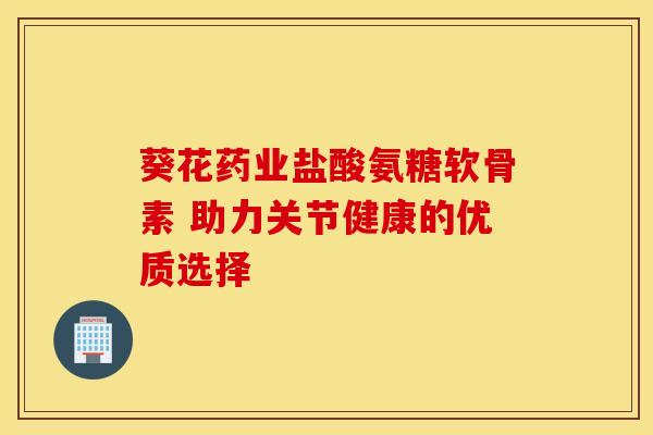 葵花药业盐酸氨糖软骨素 助力关节健康的优质选择