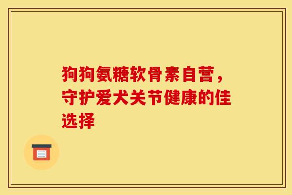 狗狗氨糖软骨素自营，守护爱犬关节健康的佳选择
