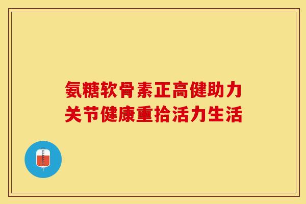 氨糖软骨素正高健助力关节健康重拾活力生活