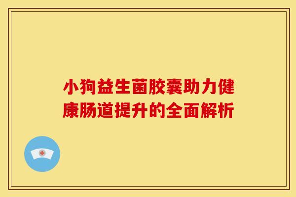 小狗益生菌胶囊助力健康肠道提升的全面解析