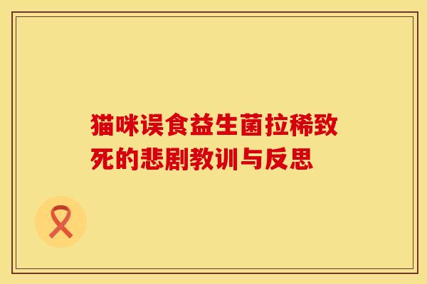 猫咪误食益生菌拉稀致死的悲剧教训与反思