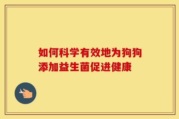 如何科学有效地为狗狗添加益生菌促进健康