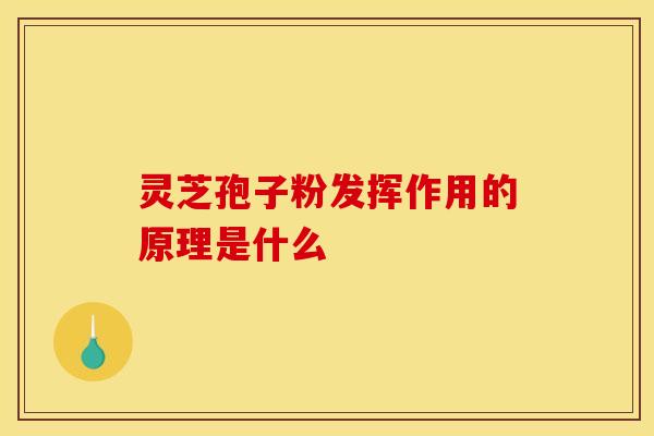 灵芝孢子粉发挥作用的原理是什么
