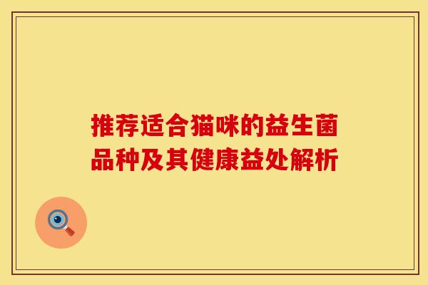 推荐适合猫咪的益生菌品种及其健康益处解析